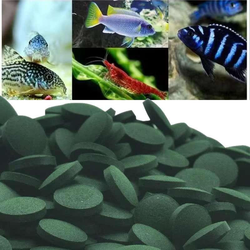 50/100/300/500 шт. таблетки сп – обзор и цена Spirulina Tablet Organic